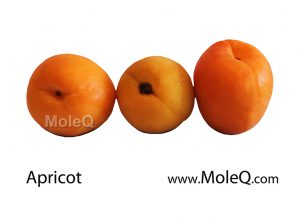Apricot