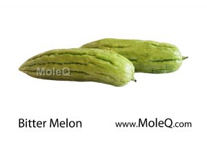 BitterMelon