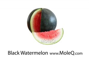 Black Watermelon