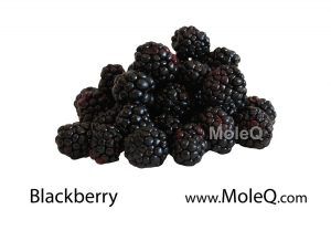 Blackberry