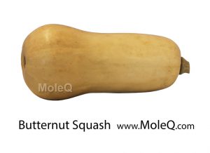 ButternutSquash