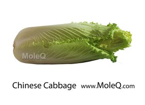 ChineseCabbage