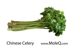 ChineseCelery