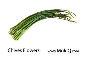 ChivesFlowers
