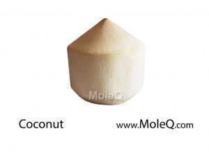 Coconut-2
