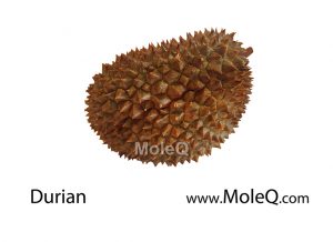 Durian