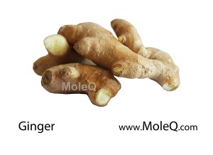 Ginger