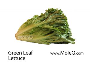 GreenLeafLettuce
