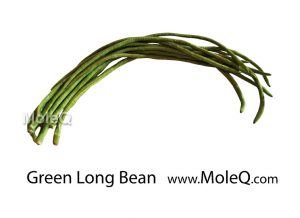 GreenLongBean