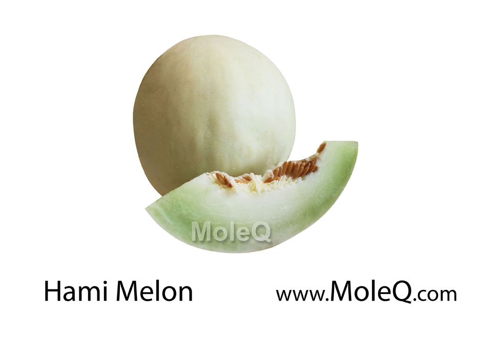 hami-melon-moleq-inc-food-information