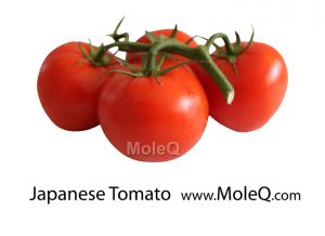 JapaneseTomato
