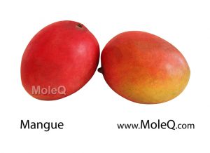 Mangue