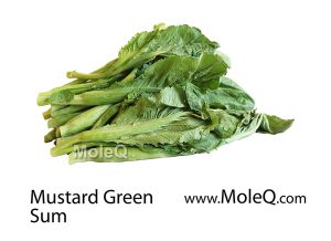 MustardGreenSum