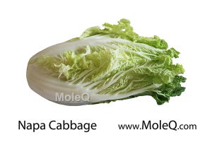 NapaCabbage