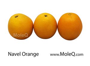 NavelOrange