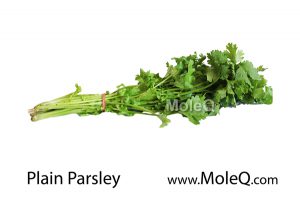 PlainParsley