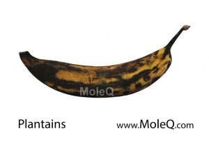 Plantains