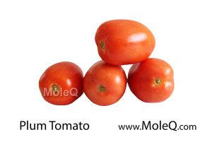 PlumTomato