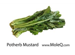 PotherbMustard