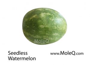 SeedlessWatermelon