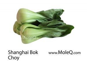 ShanghaiBok Choy