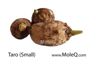 Taro-Small