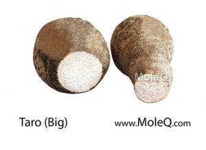Taro-big