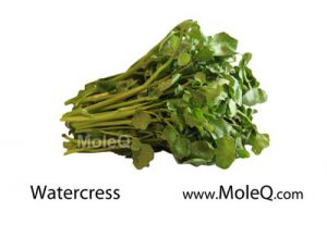 Watercress