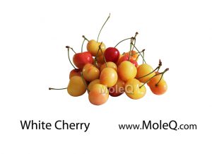 WhiteCherry