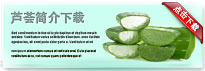 aloe-thum-cn