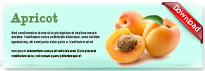 apricot-thum-en