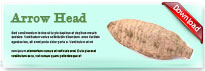 arrowhead-thum-en