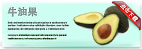 avocado-thum-cn