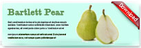 bartlettpear-thum-en