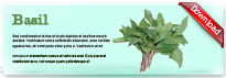 basil-thum-en