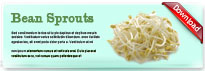 beansprouts-thum-en
