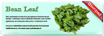 beanleaf-thum-en