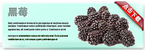 blackberry-thum-cn