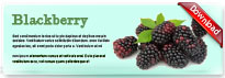 blackberry-thum-en