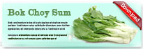 bokchoysum-thum-en