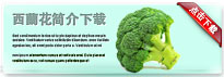 broccoli-thum-cn