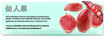 cactusfruit-thum-cn