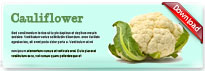 cauliflower-thum-en