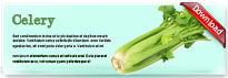 celery-thum-en