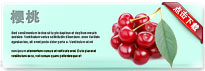 cherry-thum-cn
