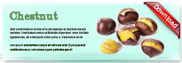 chestnut-thum-en