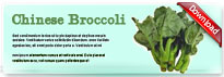 chinesebroccoli-thum-en