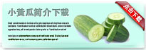 chinesepicklecucumber-thum-cn