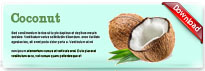 coconut-thum-en
