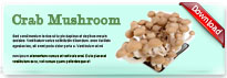 crabmushroom-thum-en
